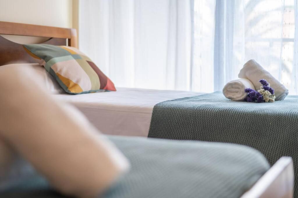 Casa Da Raquel Apartment Ponta Delgada  Ngoại thất bức ảnh